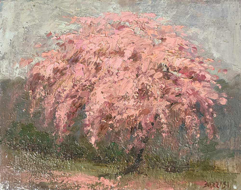 A Moment in Bloom