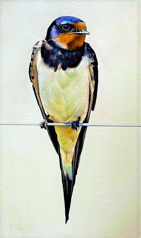 Bird on a Wire By James Giaccio