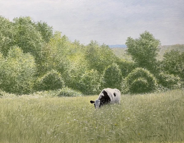 Cow on Deep 