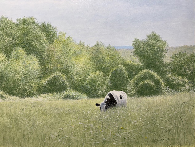 Cow on Deep