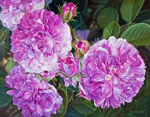 Petite Fragrant Roses
