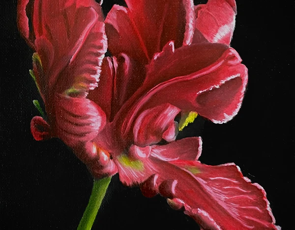 Red Flower