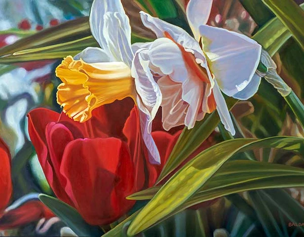 Smith College Spring Bulb Show No. 4
