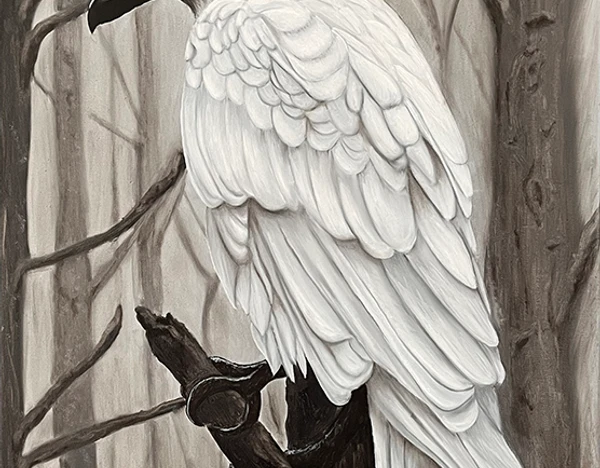 White Crow 