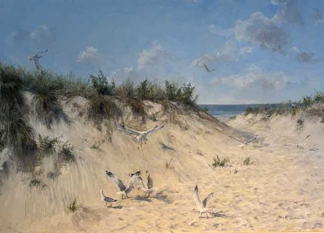 Meeting At The Beach