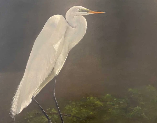 The Egret II