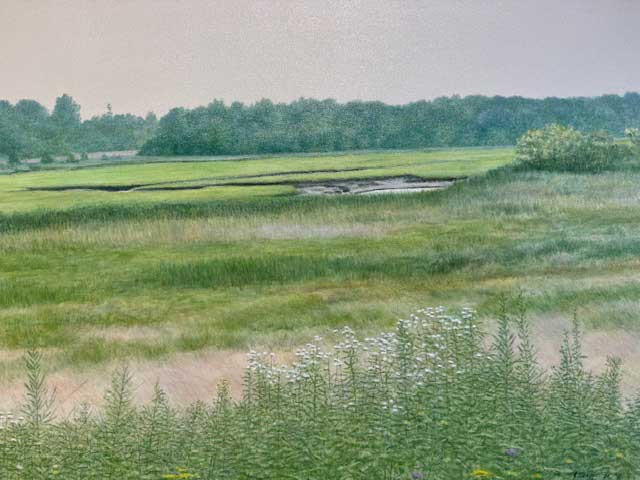 Low Tide  