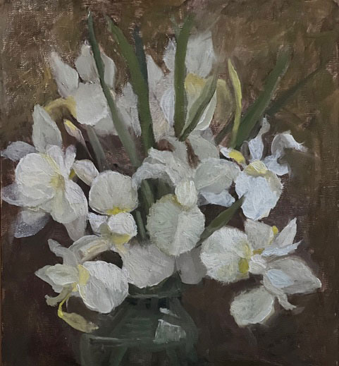 Early Morning Iris
