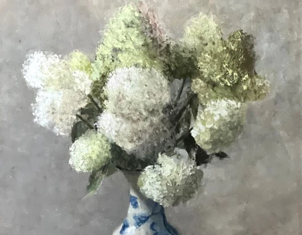 Limelight Hydrangeas