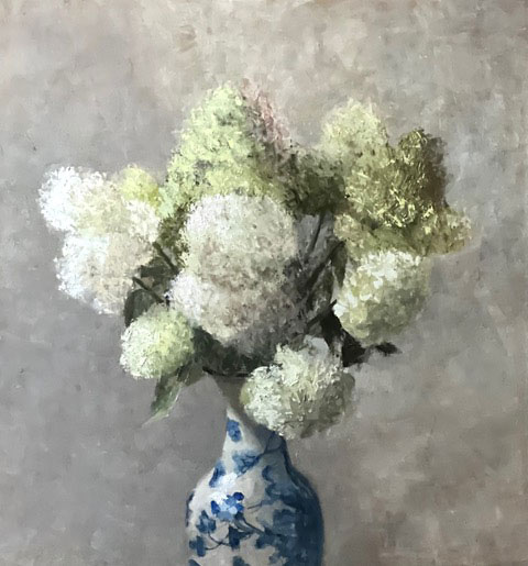 Limelight Hydrangeas