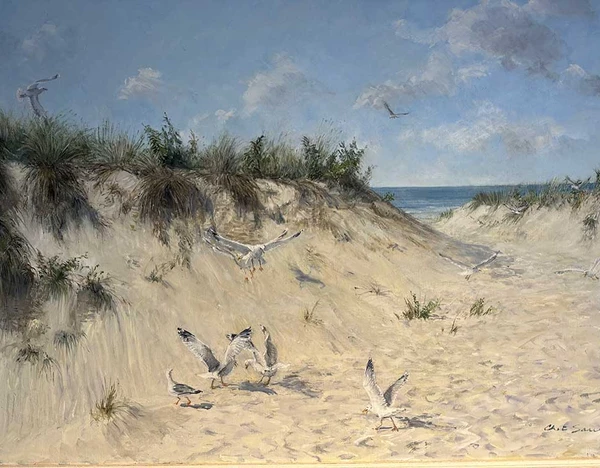 Meeting at the Beach