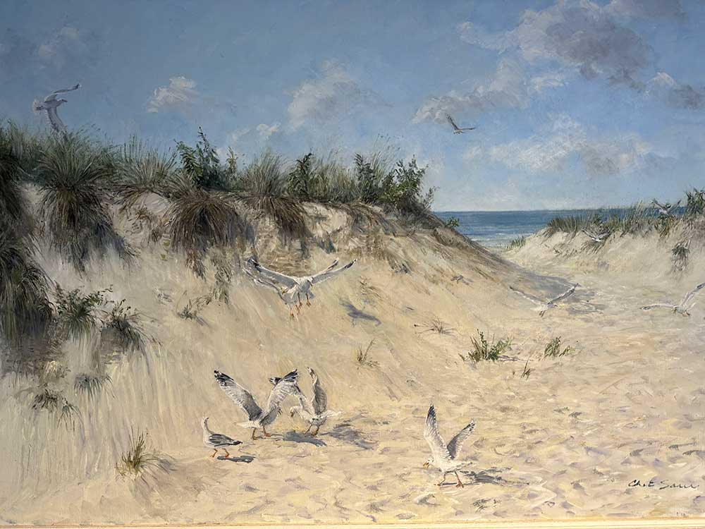 Meeting at the Beach