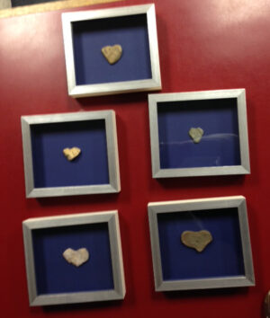 heart-rocks-300x354 image