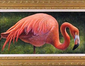 Flamingo By David Jones