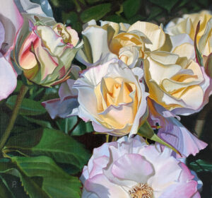 Alba Roses No. 2 By Paul Baldassini