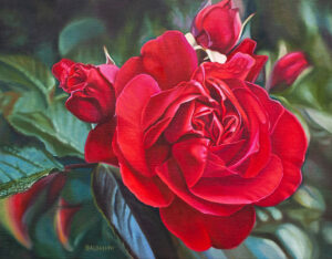 Single Red Rose By Paul Baldassini