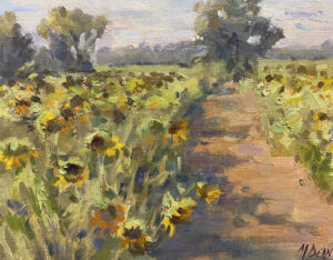 Sunflower Field By Margaret Dean