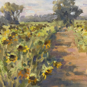 Sunflower Field By Margaret Dean