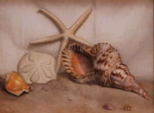 Shells By Barbara Efchak