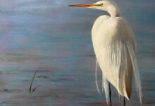 The Egret By Mary Morant