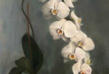Terracotta Orchids By Dana DiMuro