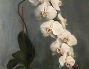 Terracotta Orchids By Dana DiMuro