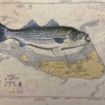 painting-of-sea-bass-for-sale