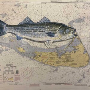 painting-of-sea-bass-for-sale