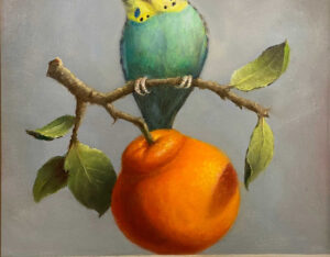 Budgie on an Orange Branch By Patt Baldino