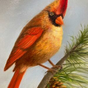 Cardinal on a Pine Branch By Patt Baldino