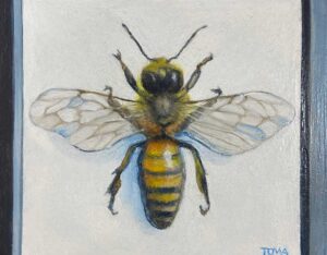 Bee By Yasemin Tomakan