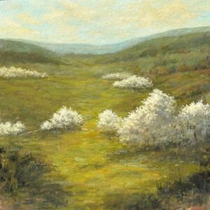 Blossoms By Sue Barrasi
