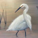 Snowy Egret By Mary Morant