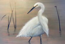 Snowy Egret By Mary Morant
