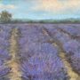 Lavender By Sue Barrasi