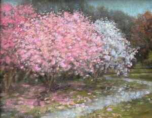 Spring Blossoms By Sue Barrasi