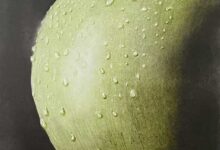Green Apple By Clayton Liotta