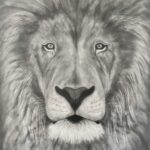 Lion By Clayton Liotta