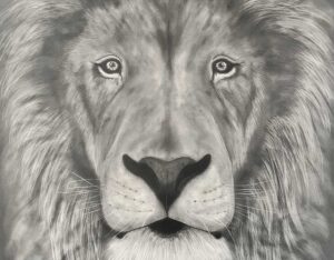 Lion By Clayton Liotta