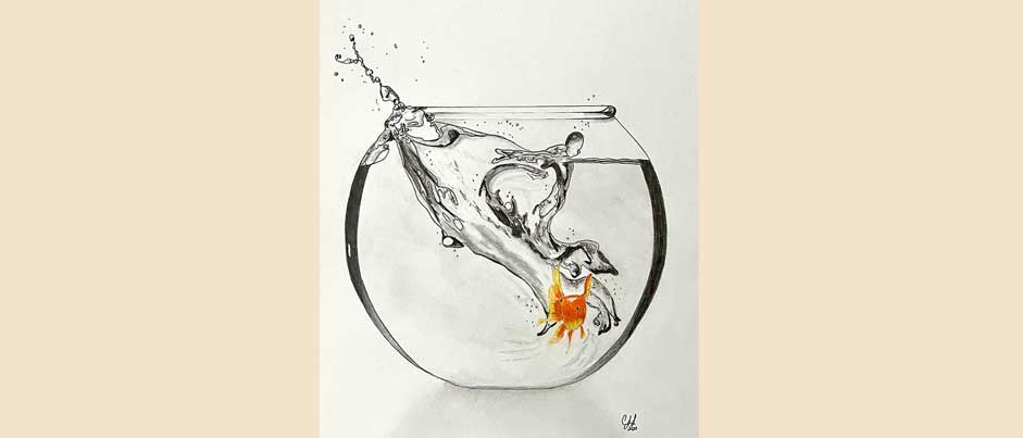Goldfish By Clayton Liotta