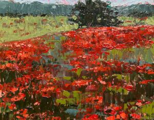 Poppies By Sue Barrasi