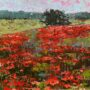Poppies By Sue Barrasi