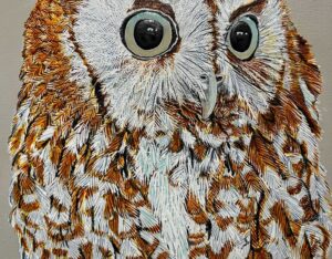 Eastern Screech Owl (Red Phase) By Barry Levin