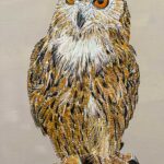 Eurasian Eagle Owl By Barry Levin