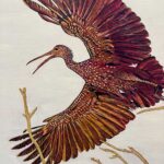 Limpkin By Barry Levin