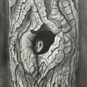 Home By Clayton Liotta