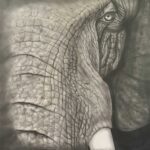 Elephant By Clayton Liotta