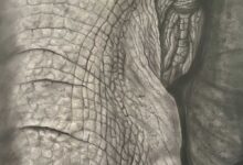 Elephant By Clayton Liotta