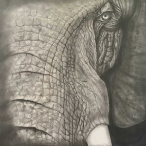 Elephant By Clayton Liotta
