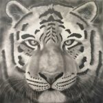 Tiger By Clayton Liotta
